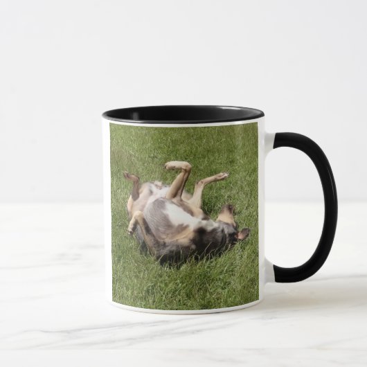 Catahoula Leopard Hond Rolling In Grass Mok (Rechts)