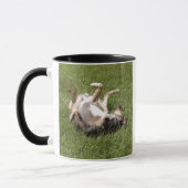 Catahoula Leopard Hond Rolling In Grass Mok (Links)