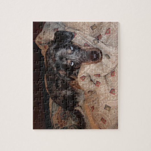 Catahoula Leopard Hond Snoozing Legpuzzel (Verticaal)