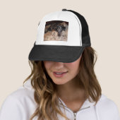 Catahoula Leopard Hond Snoozing Trucker Pet (In situ)