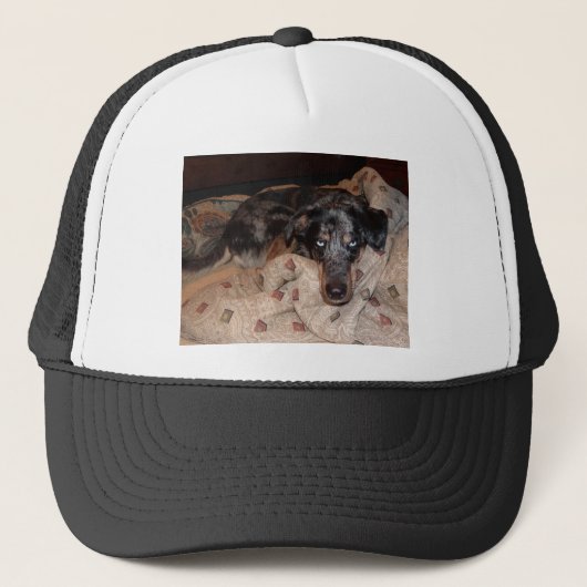 Catahoula Leopard Hond Snoozing Trucker Pet (Voorkant)