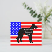 catahoula silhouette name on usa-flag briefkaart (Staand voorkant)