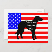 catahoula silhouette name on usa-flag briefkaart (Voorkant / Achterkant)