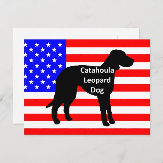 catahoula silhouette name on usa-flag briefkaart (Voorkant / Achterkant)