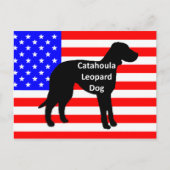 catahoula silhouette name on usa-flag briefkaart (Voorkant)