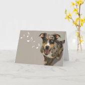 Catahoula Singing Kaart beroemd gemaakt door Focus (Gele Bloem)