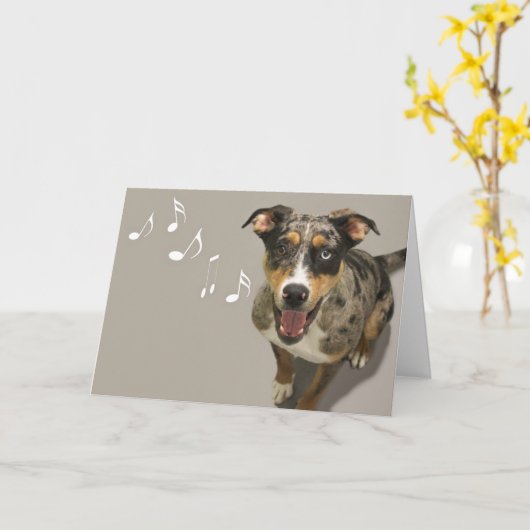 Catahoula Singing Kaart beroemd gemaakt door Focus (Gele Bloem)