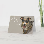 Catahoula Singing Kaart beroemd gemaakt door Focus (Voorkant)