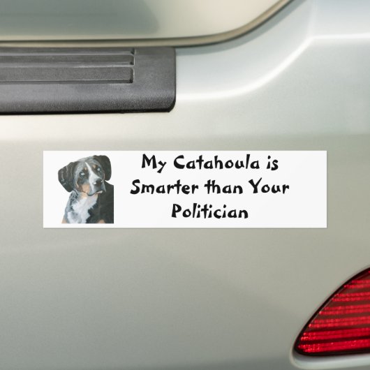 Catahoula vs Politicien Bumber Sticker (Op auto)