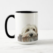 catalaanse herdershond Mok (Links)