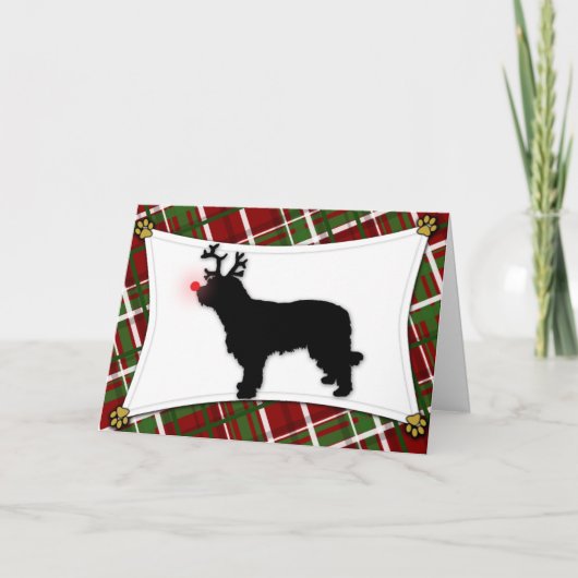 Catalaanse herdershond rendier kerst Kaart (Voorkant)