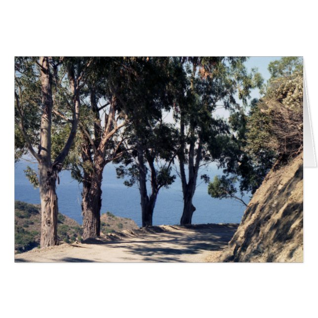 Catalina (Voorkant Horizontaal)