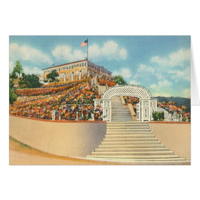 Catalina (Voorkant Horizontaal)