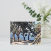 Catalina Briefkaart (Staand voorkant)