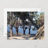 Catalina Briefkaart (Voorkant / Achterkant)