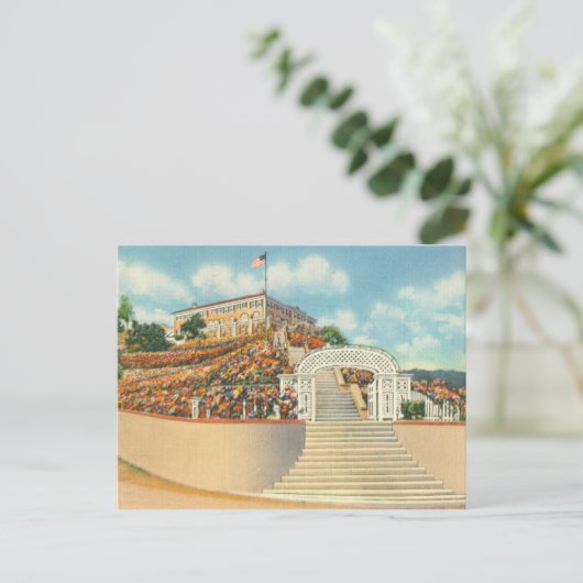 Catalina Briefkaart (Staand voorkant)