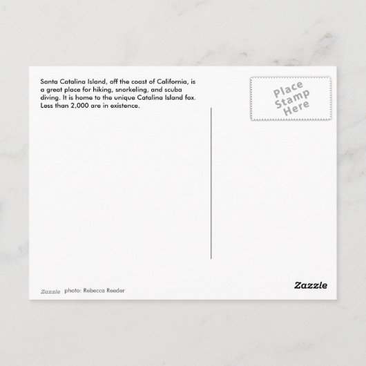 Catalina Briefkaart (Achterkant)