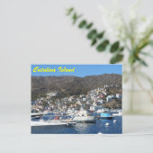 Catalina, Californië Briefkaart (Staand voorkant)