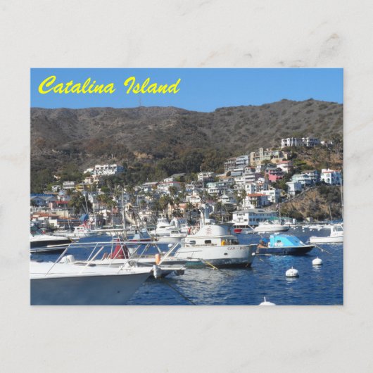Catalina, Californië Briefkaart (Voorkant)