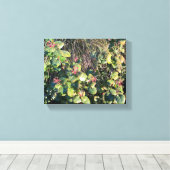 Catalina Currant Canvas Afdruk (Insitu (Houten vloer))