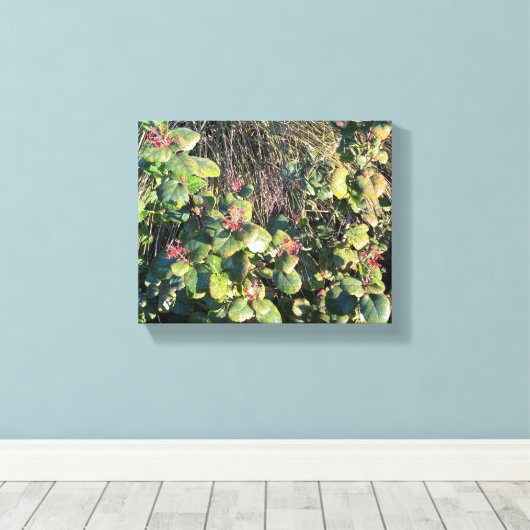 Catalina Currant Canvas Afdruk (Insitu (Houten vloer))