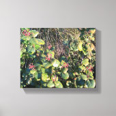 Catalina Currant Canvas Afdruk (Voorkant)