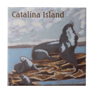 CATALINA EILAND KERAMISCHE TEGEL CATALINA FAMILIE  TEGELTJE