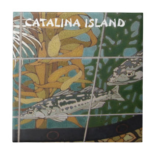 CATALINA EILAND KERAMISCHE TEGEL CATALINA REIZIGER TEGELTJE