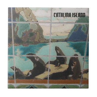 CATALINA EILAND KERAMISCHE TEGEL DE EILANDBEWONERS TEGELTJE