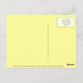 Catalina Flying Fish Briefkaart (Achterkant)