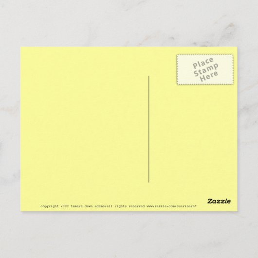 Catalina Flying Fish Briefkaart (Achterkant)