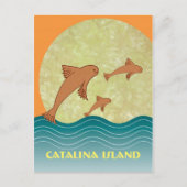 Catalina Flying Fish Briefkaart (Voorkant)