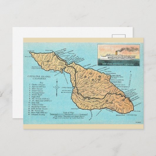  Catalina Island Briefkaart (Voorkant / Achterkant)