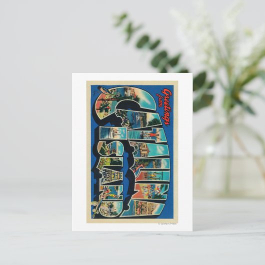 Catalina Island, California - Large Letter Briefkaart (Staand voorkant)