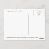 Catalina Island, Californië Briefkaart (Achterkant)