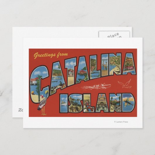 Catalina Island, Californië - Large Letter Scene Briefkaart (Voorkant / Achterkant)