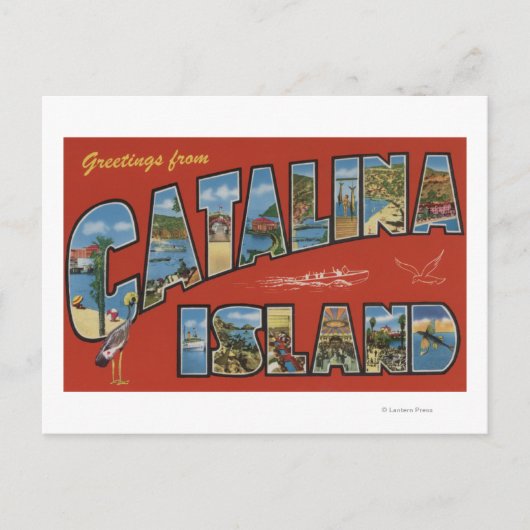 Catalina Island, Californië - Large Letter Scene Briefkaart (Voorkant)