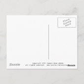 Catalina Island Casino Briefkaart (Achterkant)