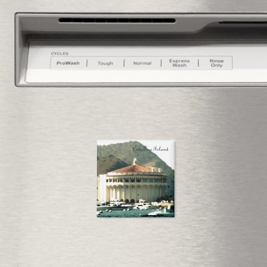 Catalina Island Casino Magneet (Insitu (Vaatwasser))