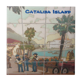 CATALINA ISLAND CERAMIC TIL TEGELTJE