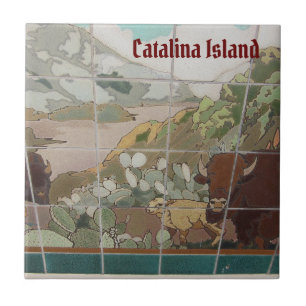 CATALINA ISLAND CERAMIC TILE CATALINA BUFFALO TEGELTJE