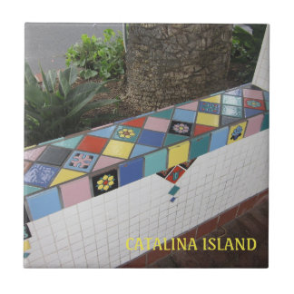 CATALINA ISLAND CERAMIC TILE CATALINA CORRIDOR TEGELTJE