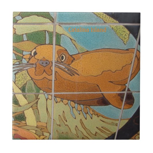 CATALINA ISLAND CERAMIC TILE FACE IN HET WATER TEGELTJE (Voorkant)
