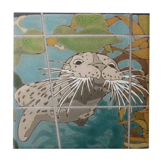 CATALINA ISLAND CERAMIC TILE FACE VAN CATALINA TEGELTJE (Voorkant)