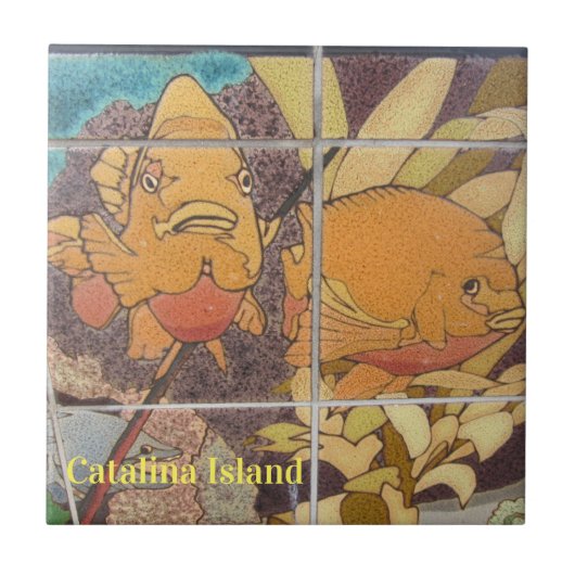 CATALINA ISLAND CERAMIC TILE FACES of CATALINA Tegeltje (Voorkant)