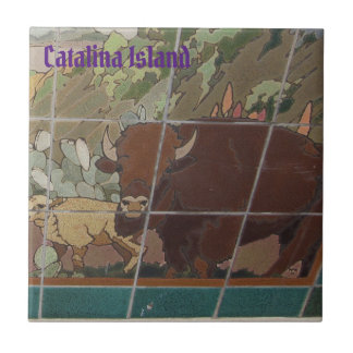 CATALINA ISLAND CERAMIC TILE ISLAND FACE TEGELTJE