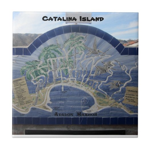 CATALINA ISLAND CERAMIC TILE TEGELTJE (Voorkant)