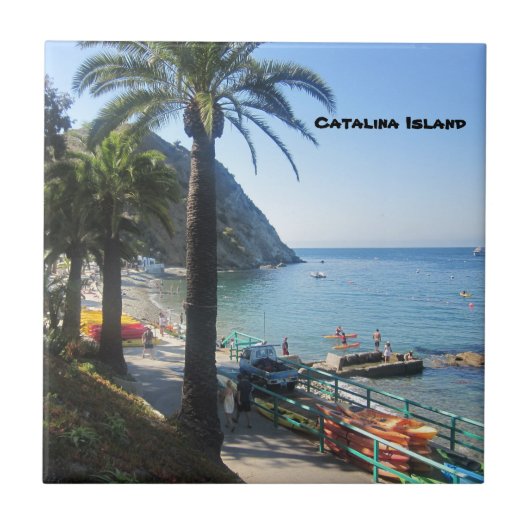 CATALINA ISLAND CERAMIC TILE TEGELTJE (Voorkant)