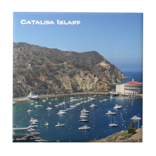 CATALINA ISLAND CERAMIC TILE TEGELTJE (Voorkant)