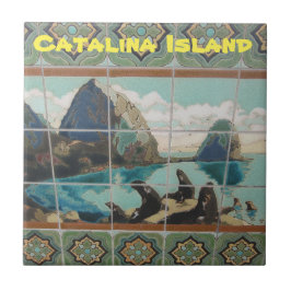 CATALINA ISLAND CERAMIC TILE TEGELTJE